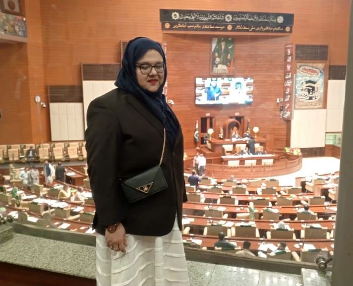 A visitor standing on the gallery above a provincial assembly chamber while a session is in progress below